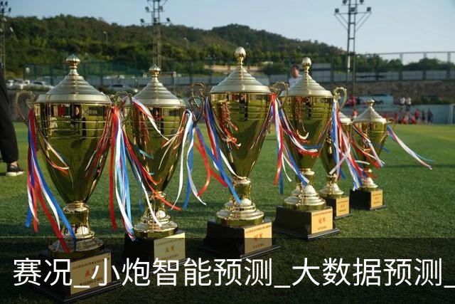 赛况_小炮智能预测_大数据预测_彩票预测-新浪彩通